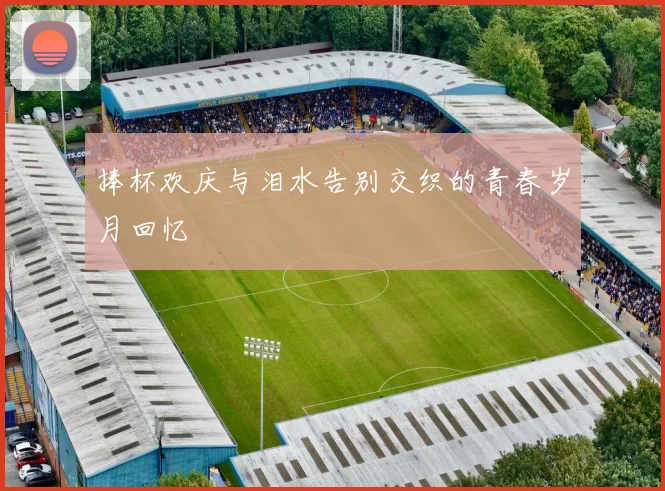 捧杯欢庆与泪水告别交织的青春岁月回忆