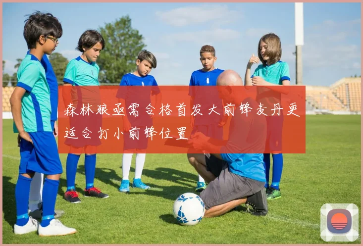 森林狼亟需合格首发大前锋麦丹更适合打小前锋位置